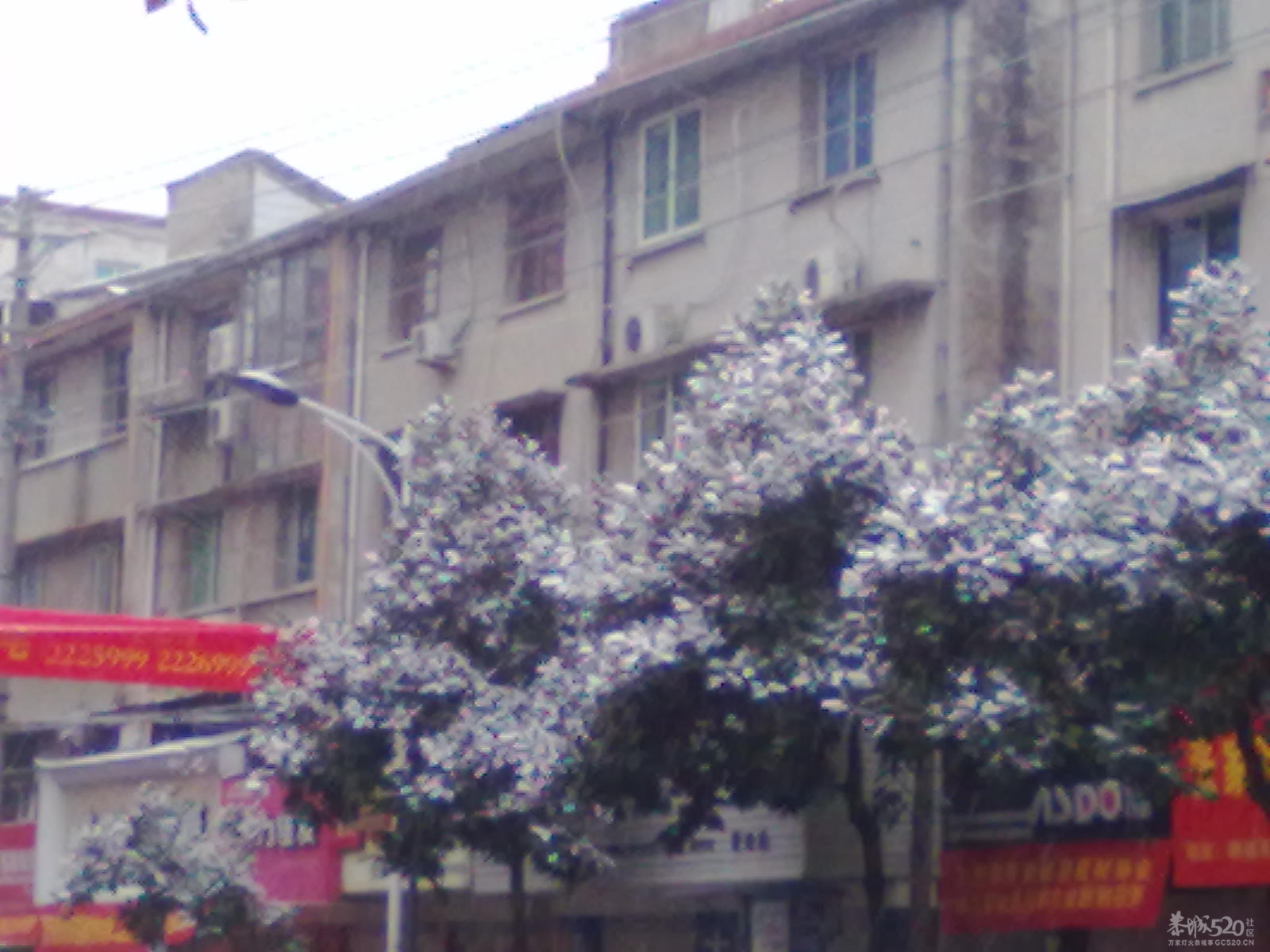 下雪~(≧▽≦)/~啦啦啦541 / 作者:小雨点 / 帖子ID:7721