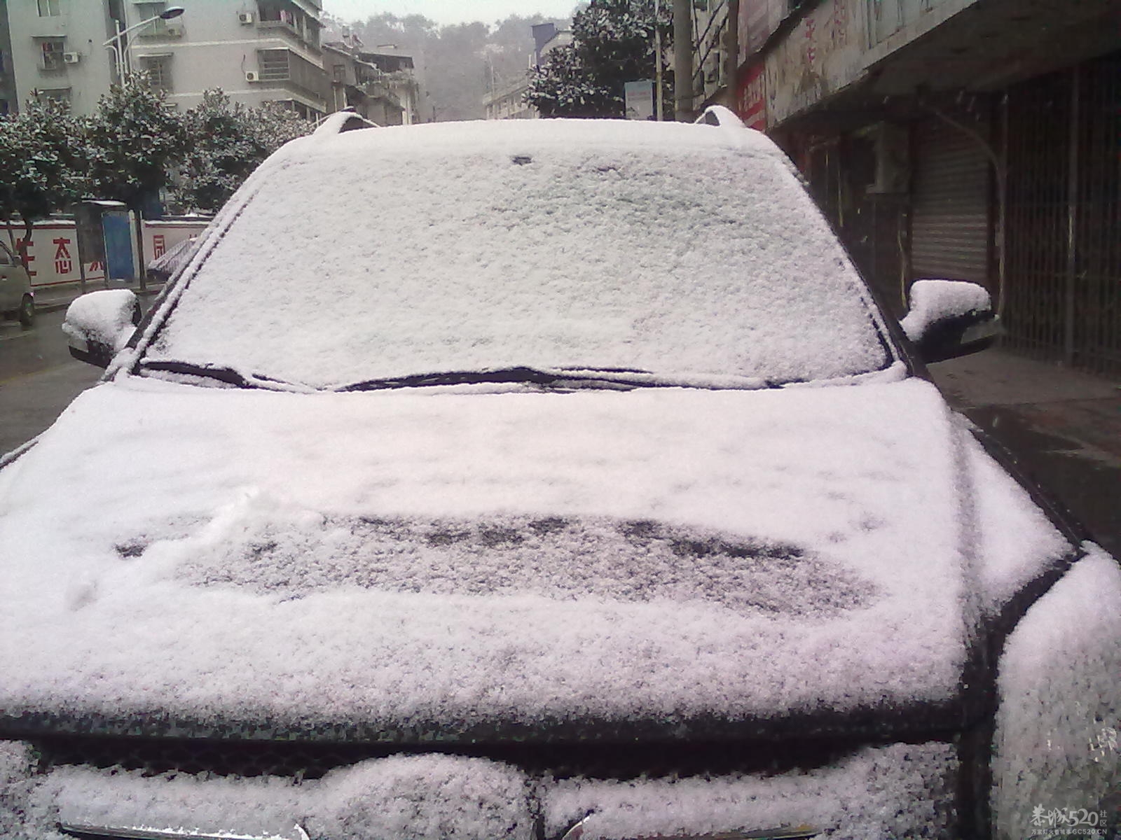 下雪~(≧▽≦)/~啦啦啦485 / 作者:小雨点 / 帖子ID:7721