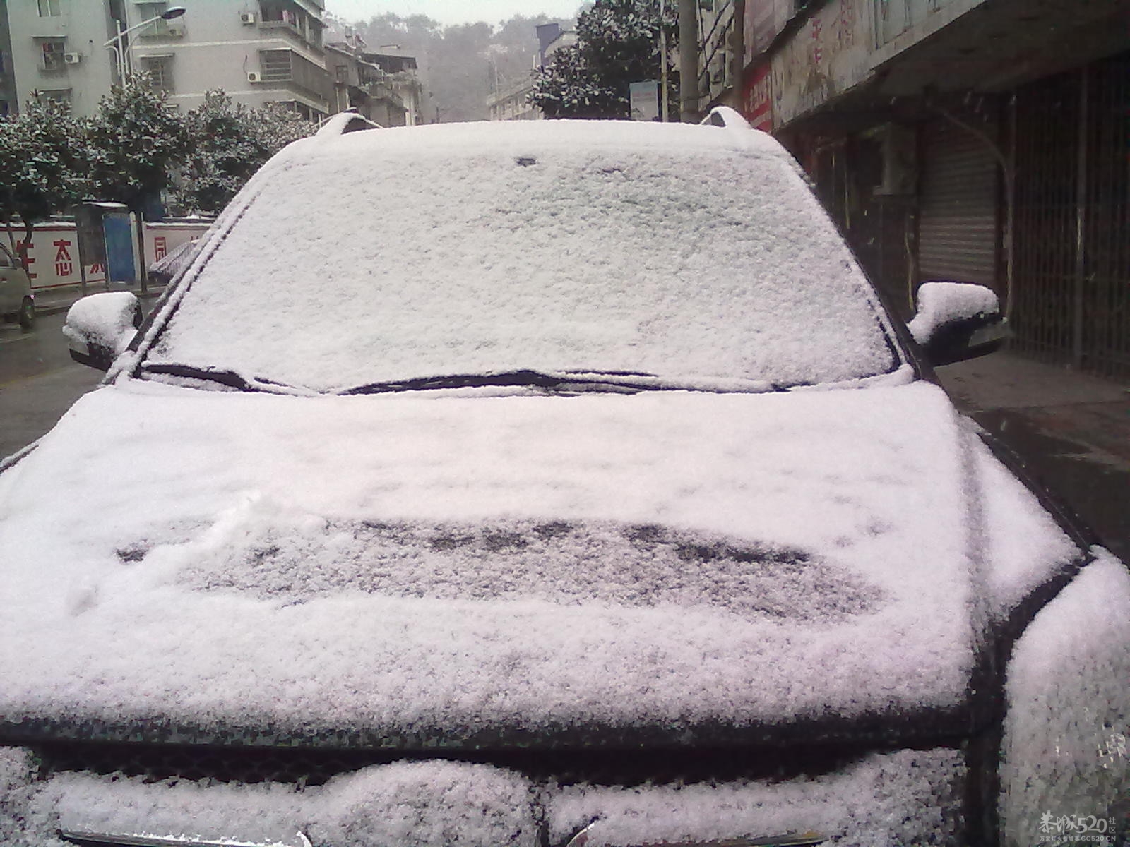 下雪~(≧▽≦)/~啦啦啦489 / 作者:小雨点 / 帖子ID:7721