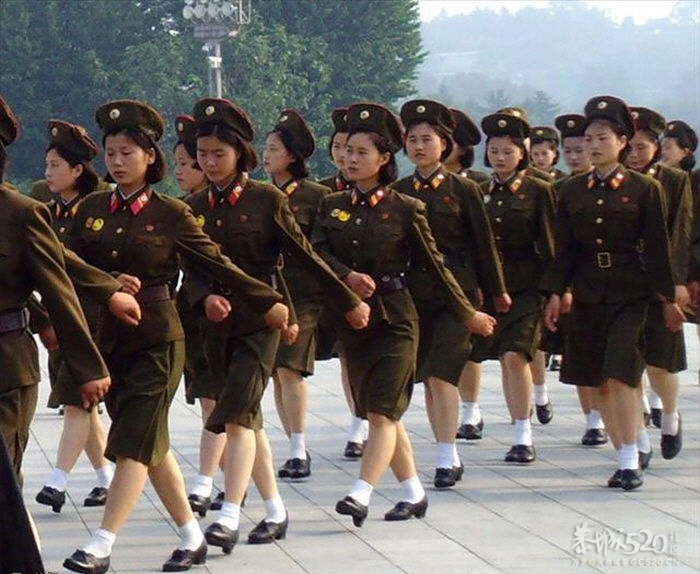 今日朝鲜现状<转帖、转图>21 / 作者:平安大叔 / 帖子ID:7745