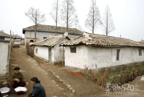 今日朝鲜现状<转帖、转图>98 / 作者:平安大叔 / 帖子ID:7745