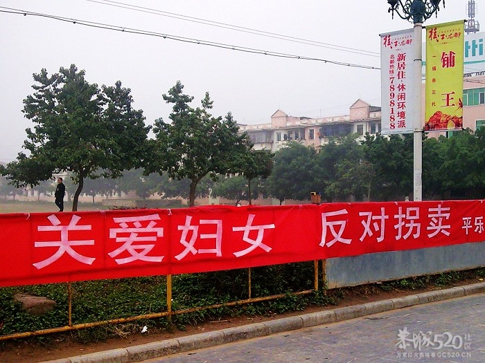 00488 / 作者:大鸟 / 帖子ID:7749