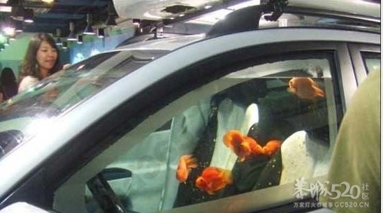 这种密封性的车。会闷死吗。。。。。。656 / 作者:请叫我宅男先生 / 帖子ID:7852