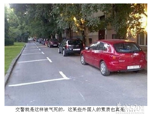 山寨无所不在，是背靠背还是臀靠臀？求鉴定！130 / 作者:237272866 / 帖子ID:7890