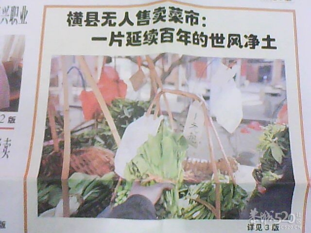 无人售卖菜市162 / 作者:大鸟 / 帖子ID:8174