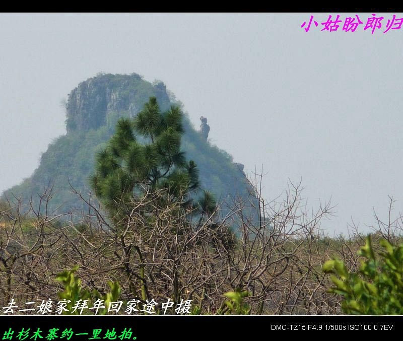 天气不好发点&quot;老&quot;照片。197 / 作者:平安大叔 / 帖子ID:8243