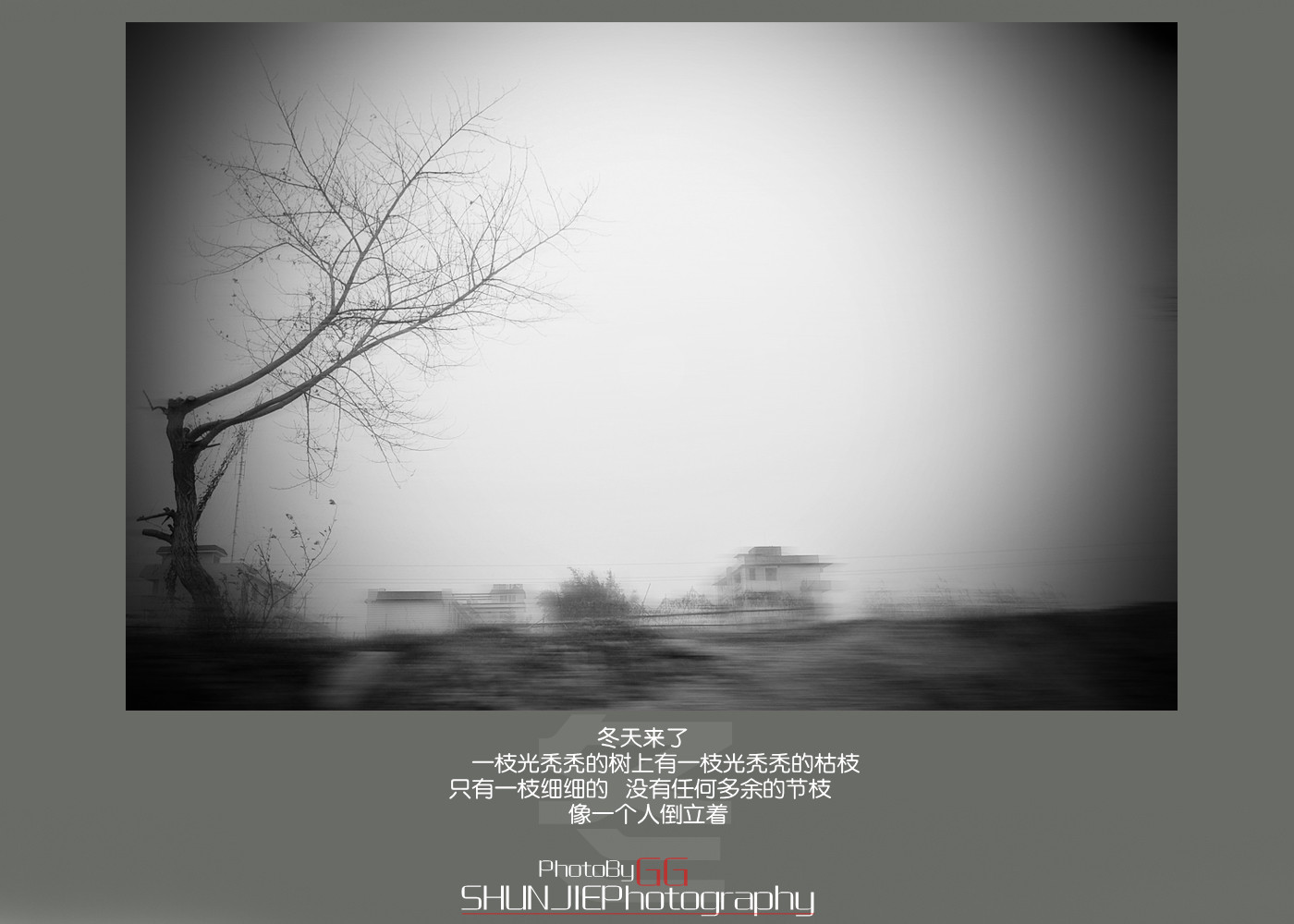 【Photo By GG、】摄。生活是一种感动794 / 作者:小兔子 / 帖子ID:8354