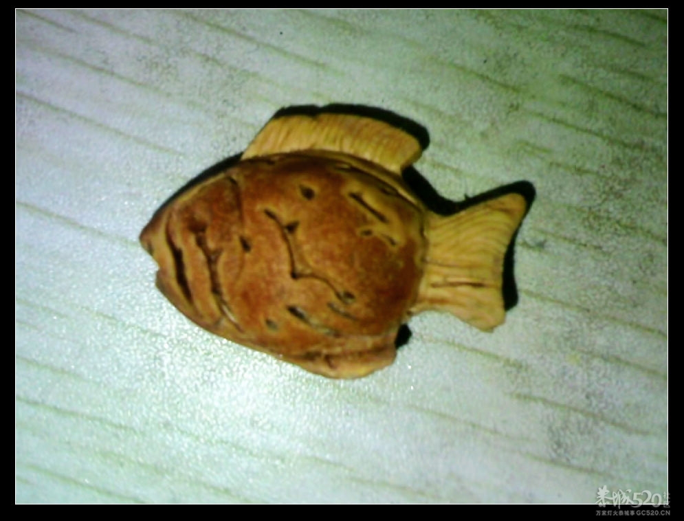 这晓不得是洗满鱼，反正吃不得346 / 作者:排散 / 帖子ID:8391