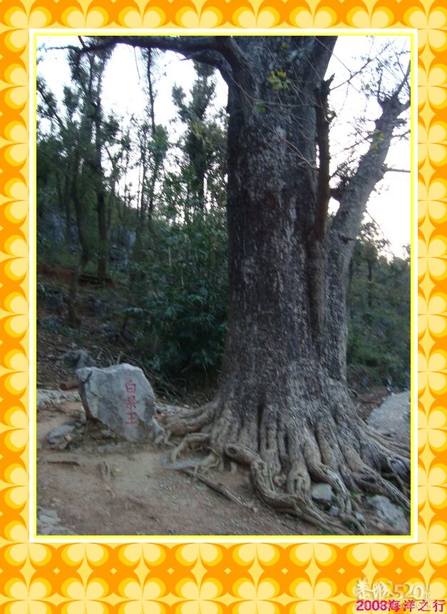 一次车队的活动~海洋之行471 / 作者:探索者越野车队 / 帖子ID:8299