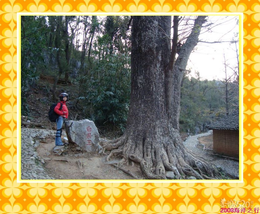 一次车队的活动~海洋之行258 / 作者:探索者越野车队 / 帖子ID:8299