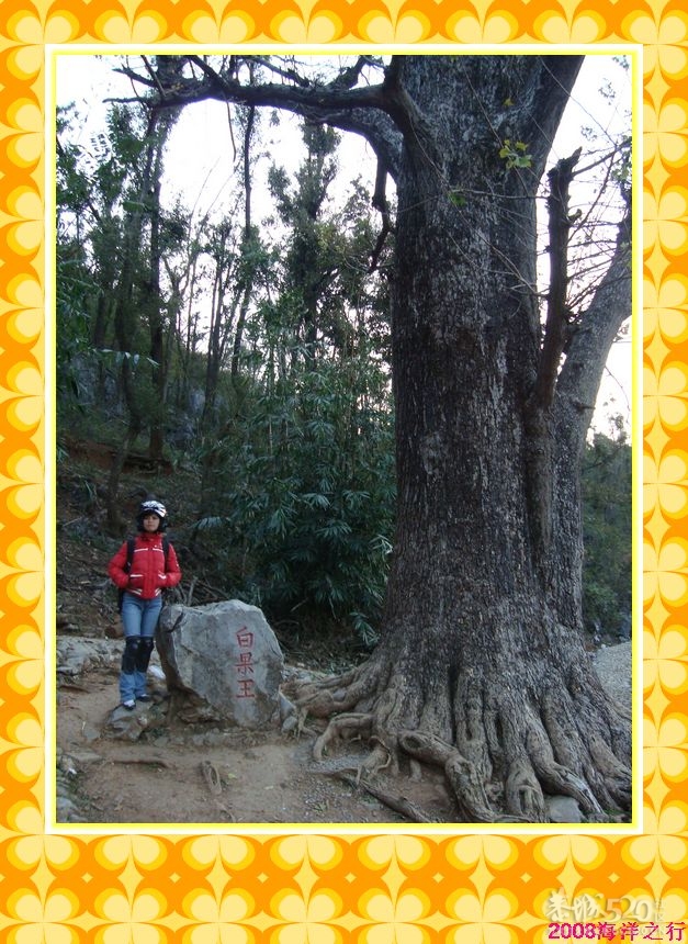 一次车队的活动~海洋之行236 / 作者:探索者越野车队 / 帖子ID:8299