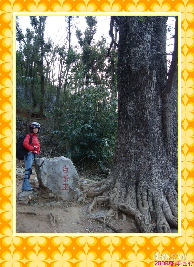 一次车队的活动~海洋之行795 / 作者:探索者越野车队 / 帖子ID:8299