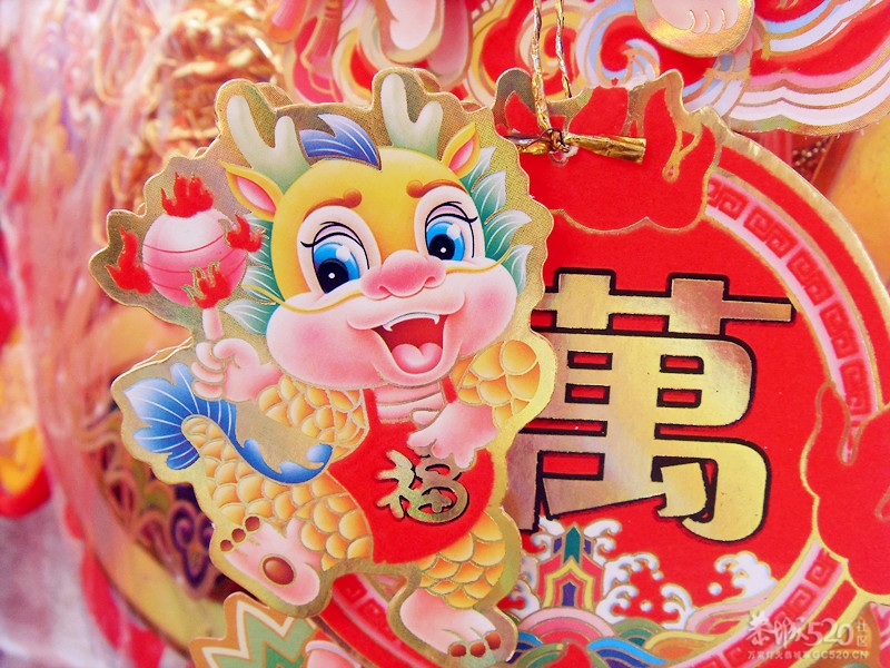 恭城卖对联的摊子摆出来啦~！赶紧拍照去拉~！782 / 作者:九曲猫咪 / 帖子ID:8495