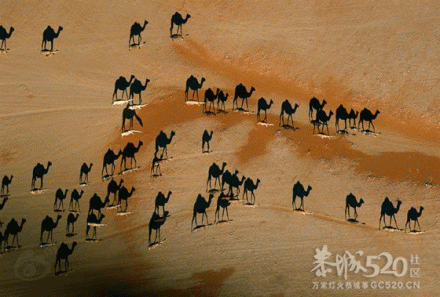 全球创意收罗 （转）398 / 作者:九曲猫咪 / 帖子ID:8496