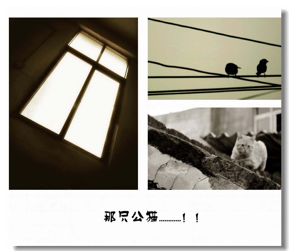 为什么.不呢！？965 / 作者:講不醜 / 帖子ID:8535
