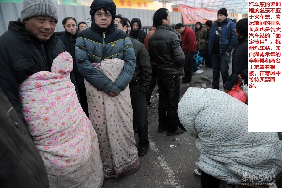 春节回家！回家！！回家！！！728 / 作者:四渡赤水 / 帖子ID:8640