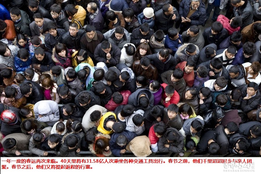 春节回家！回家！！回家！！！962 / 作者:四渡赤水 / 帖子ID:8640