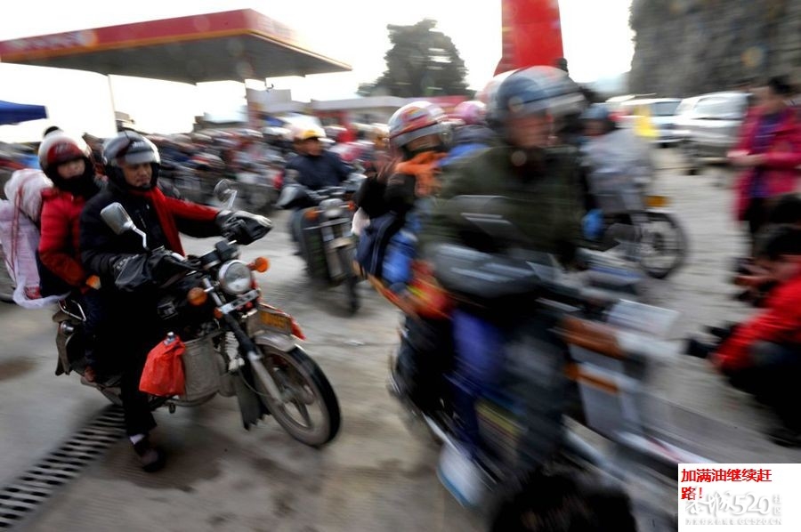 春节回家！回家！！回家！！！516 / 作者:四渡赤水 / 帖子ID:8640