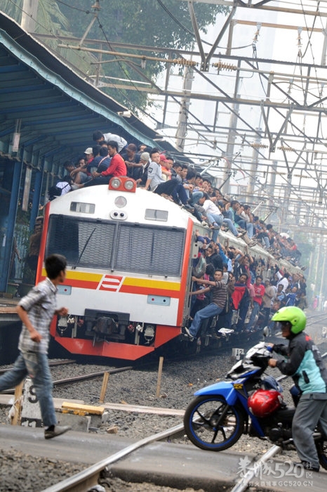 春节回家！回家！！回家！！！1000 / 作者:四渡赤水 / 帖子ID:8640