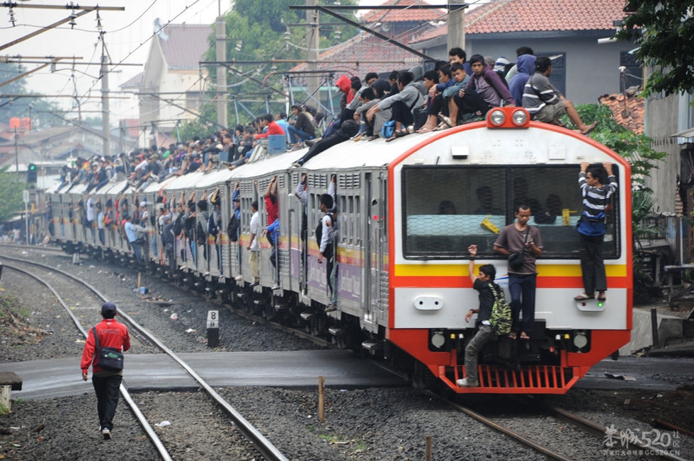 春节回家！回家！！回家！！！403 / 作者:四渡赤水 / 帖子ID:8640