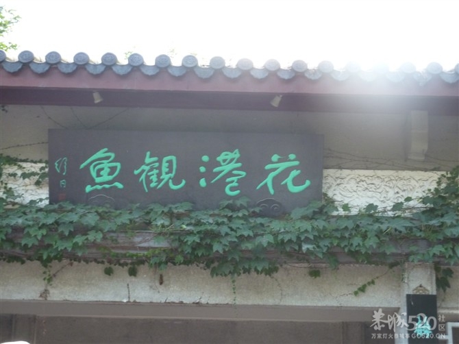 老干子去过旅游的地方！908 / 作者:罗少爷 / 帖子ID:8674