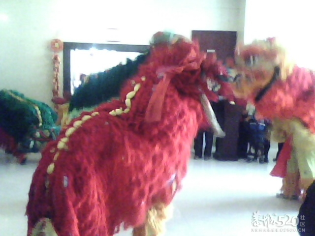 发现四只狮子从一楼跑到二搂 有图有真相734 / 作者:★黯里著谜★ / 帖子ID:8707