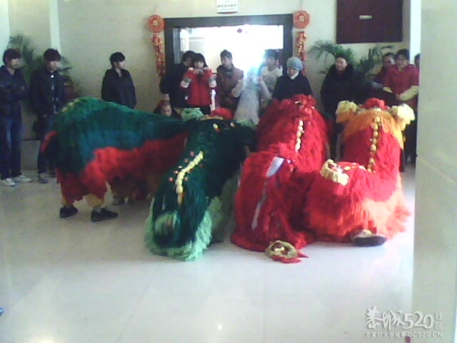 发现四只狮子从一楼跑到二搂 有图有真相222 / 作者:★黯里著谜★ / 帖子ID:8707