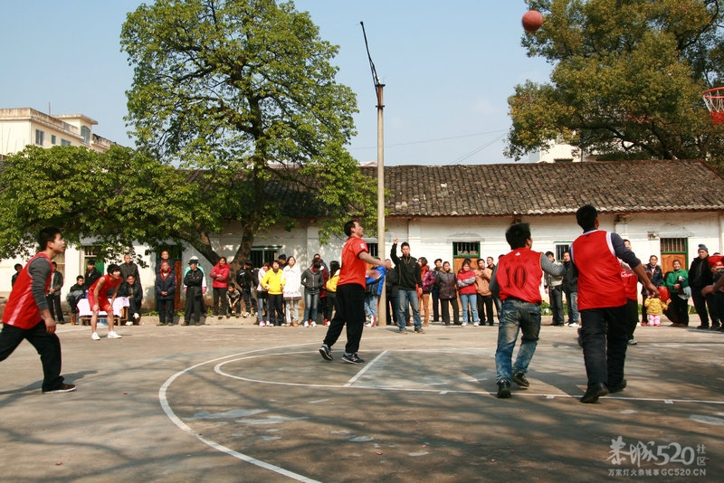 西岭村春节文化活动809 / 作者:莘莘子 / 帖子ID:8718