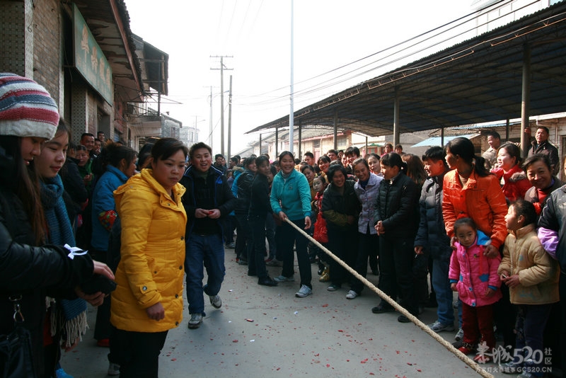 西岭村春节文化活动967 / 作者:莘莘子 / 帖子ID:8718