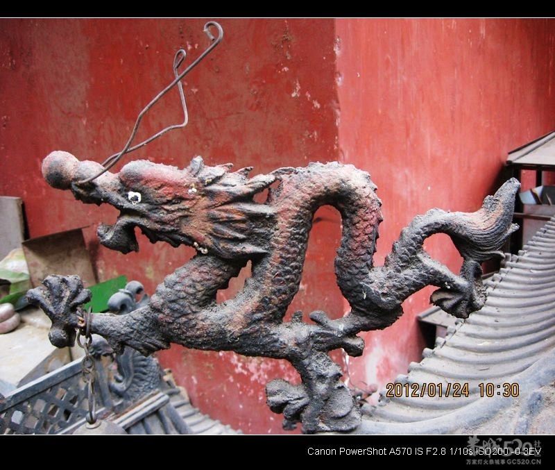 龙年拍龙、更祝520如蛟龙腾飞！533 / 作者:平安大叔 / 帖子ID:8746