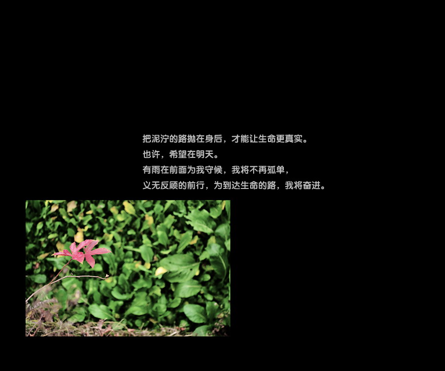 心、路。347 / 作者:講不醜 / 帖子ID:8725