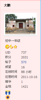 谁偷了我的徽章？289 / 作者:大鸟 / 帖子ID:8833