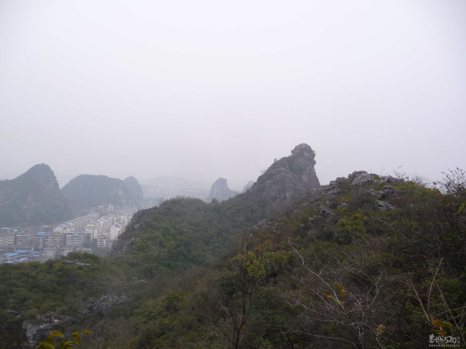 2012年1月26日爬老人头山186 / 作者:我不懂你 / 帖子ID:8839