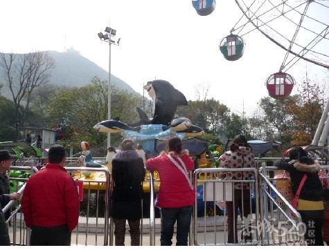 12年1月25日游桂林联达植物公园991 / 作者:我不懂你 / 帖子ID:8856