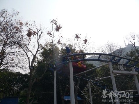 12年1月25日游桂林联达植物公园806 / 作者:我不懂你 / 帖子ID:8856