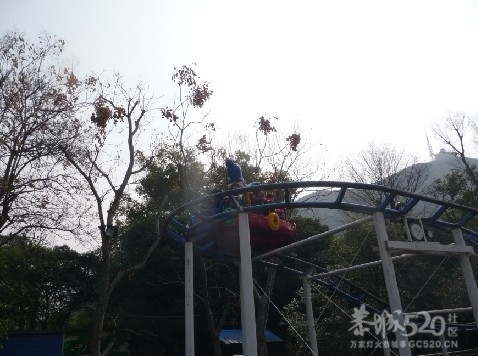 12年1月25日游桂林联达植物公园680 / 作者:我不懂你 / 帖子ID:8856