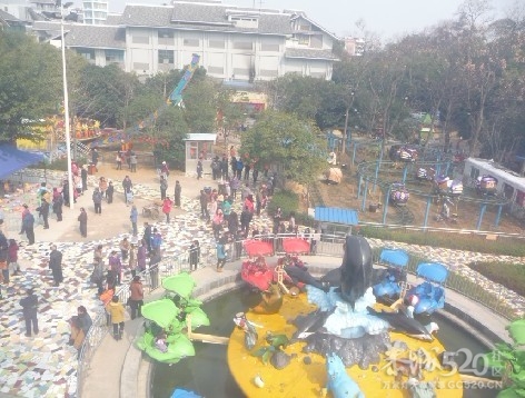 12年1月25日游桂林联达植物公园310 / 作者:我不懂你 / 帖子ID:8856