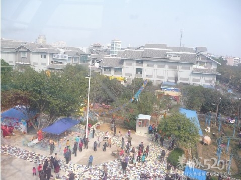 12年1月25日游桂林联达植物公园173 / 作者:我不懂你 / 帖子ID:8856