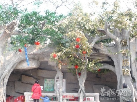 12年1月25日游桂林联达植物公园53 / 作者:我不懂你 / 帖子ID:8856