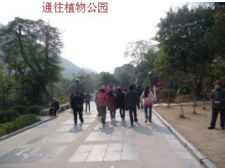 12年1月25日游桂林联达植物公园89 / 作者:我不懂你 / 帖子ID:8856