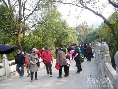 12年1月25日游桂林联达植物公园316 / 作者:我不懂你 / 帖子ID:8856