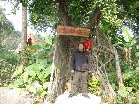 12年1月25日游桂林联达植物公园851 / 作者:我不懂你 / 帖子ID:8856