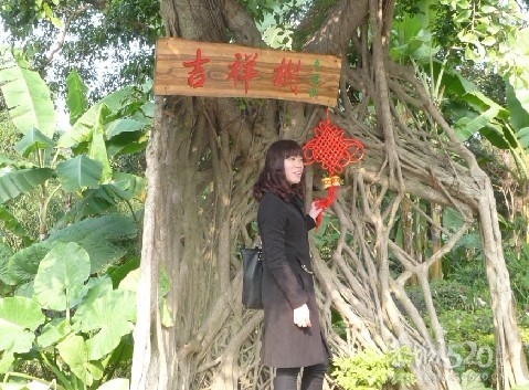 12年1月25日游桂林联达植物公园688 / 作者:我不懂你 / 帖子ID:8856