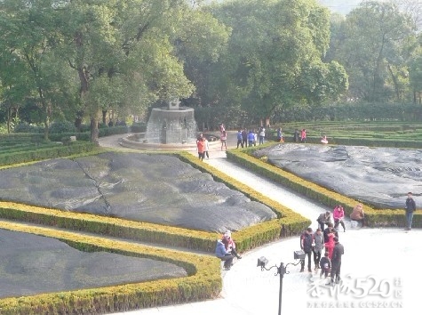 12年1月25日游桂林联达植物公园446 / 作者:我不懂你 / 帖子ID:8856