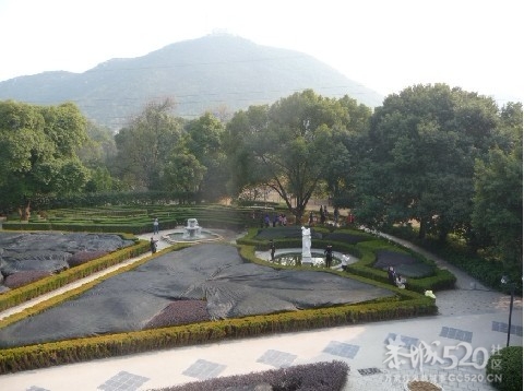 12年1月25日游桂林联达植物公园172 / 作者:我不懂你 / 帖子ID:8856