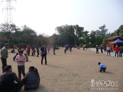 12年1月25日游桂林联达植物公园461 / 作者:我不懂你 / 帖子ID:8856