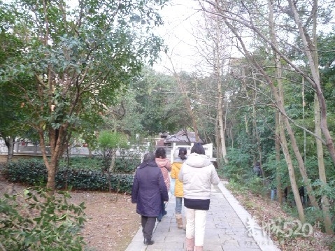 12年1月25日游桂林联达植物公园996 / 作者:我不懂你 / 帖子ID:8856