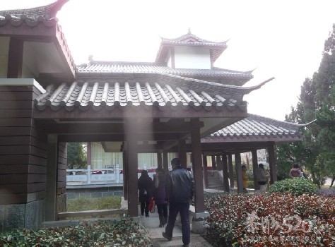 12年1月25日游桂林联达植物公园883 / 作者:我不懂你 / 帖子ID:8856