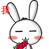三江石口花炮节自驾游组团通知[桂林恭城]269 / 作者:移不动 / 帖子ID:8840