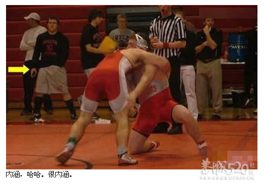 内涵，哈哈。很内涵550 / 作者:237272866 / 帖子ID:8991